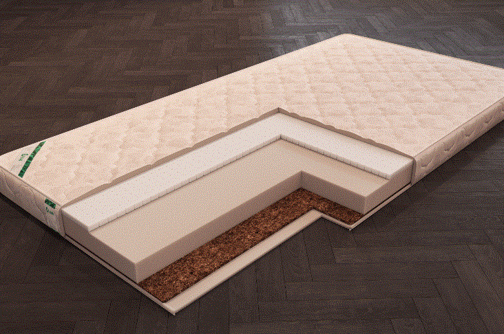 ������������ ������     "Eco Dream Small"